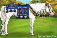 Horse Color:Palomino Appaloosa  and Palomino Appaloosa 