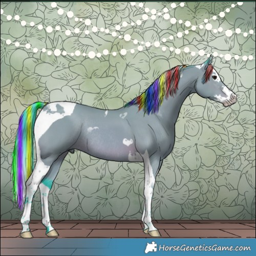 Horse Color:Painted Watercolor Bay Splash Tobiano Rabicano 