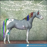 Horse Color:Painted Watercolor Bay Splash Tobiano Rabicano 