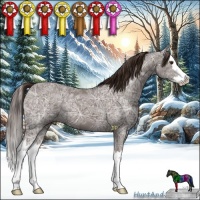 Horse Color:Liver Chestnut Ice Sabino Splash 