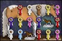 Horse Color:Silver Buckskin Splash Tobiano 