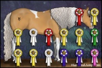 Horse Color:Silver Buckskin Splash Tobiano 