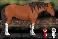 Horse Color:Bay Tobiano Rabicano 