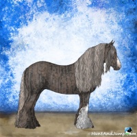 Horse Color:Black  and Silver Black