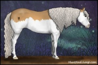 Horse Color:Silver Buckskin Roan Splash 