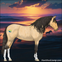Horse Color:Buckskin Roan