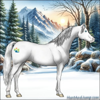 Horse Color:Silver Perlino Dun Appaloosa 
