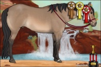 Horse Color:Brown Roan Dun 