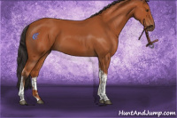 Horse Color:Bay Tobiano Rabicano