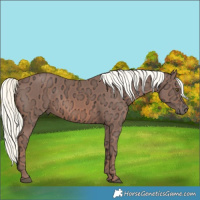 Horse Color:Chestnut Ice Mushroom