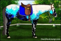 Horse Color:White Spotted Buckskin Roan Dun