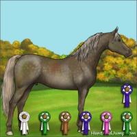 Horse Color:Chocolate Palomino 