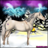 Horse Color:White Spotted Silver Bay Pearl Dun 