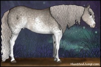 Horse Color:White Spotted Silver Brown Dun Splash 
