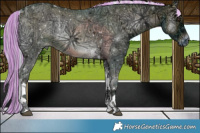 Horse Color:Painted Watercolor Liver Red Onyx Ice Mushroom Sabino Tobiano
