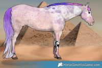 Horse Color:ERROR: UNKNOWN ANOMALY