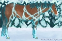 Horse Color:Thunderstruck Bay Sabino 