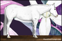 Horse Color:Grullo Splash 