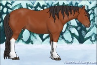Horse Color:Bay Tobiano Rabicano 