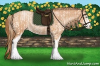 Horse Color:Perlino Sabino Rabicano and Bay Pearl Sabino Rabicano
