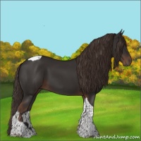 Horse Color:Liver Chestnut Tobiano Rabicano 
