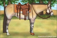 Horse Color:Buckskin Onyx 
