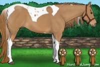 Horse Color:Chestnut Tobiano