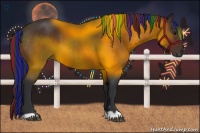 Horse Color:Painted Bay 