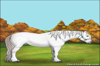 Horse Color:Gray White Spotted Chestnut 
