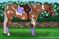 Horse Color:White Spotted Silver Bay 