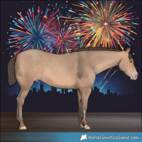 Horse Color:Amber Champagne 