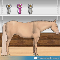 Horse Color:Gold Champagne 