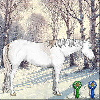 Horse Color:Gray Smoky Creme Roan Splash Frame Appaloosa 