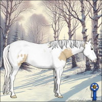 Horse Color:Silver Smoky Grullo Splash Tobiano Appaloosa Rabicano 