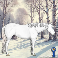 Horse Color:Gray White Spotted Smoky Creme Dun Splash Tobiano Appaloosa 