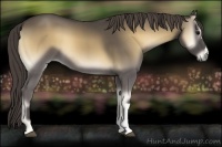 Horse Color:Smoky Blue Onyx 