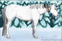 Horse Color:White Spotted Brown Ice Splash