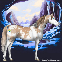 Horse Color:White Spotted Chestnut Sabino Splash 