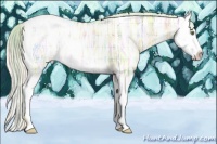 Horse Color:Plaid  Silver Classic Champagne Ice Dun Splash Appaloosa 