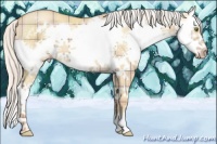 Horse Color:Plaid  Silver Classic Champagne Dun Splash Frame 