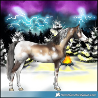 Horse Color:White Spotted Liver Red Onyx Frame 