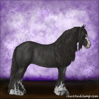 Horse Color:Liver Chestnut Sabino Rabicano  and Liver Chestnut Sabino Rabicano 