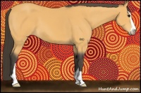 Horse Color:Buckskin Sabino 