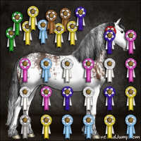 Horse Color:White Spotted Brown Splash