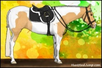 Horse Color:Silver Buckskin Tobiano Rabicano