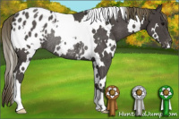 Horse Color:White Spotted Smoky Black Blanket Rabicano 