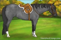 Horse Color:Smoky Blue Roan