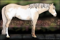 Horse Color:Silver Classic Champagne Roan Dun Frame Varnish 