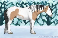 Horse Color:Bay Dun Splash Tobiano Rabicano 