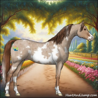Horse Color:White Spotted Red Dun Roan Frame 